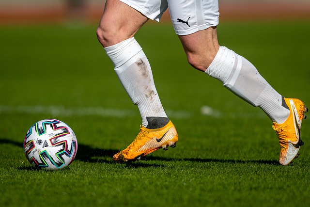 熟的青训体 熟的青训体